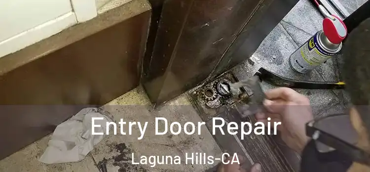  Entry Door Repair Laguna Hills-CA
